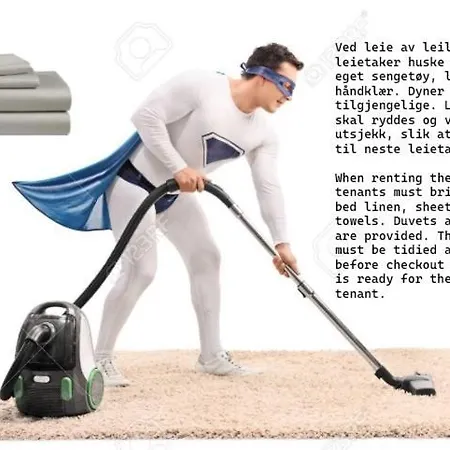 Apartament Roldal Horre